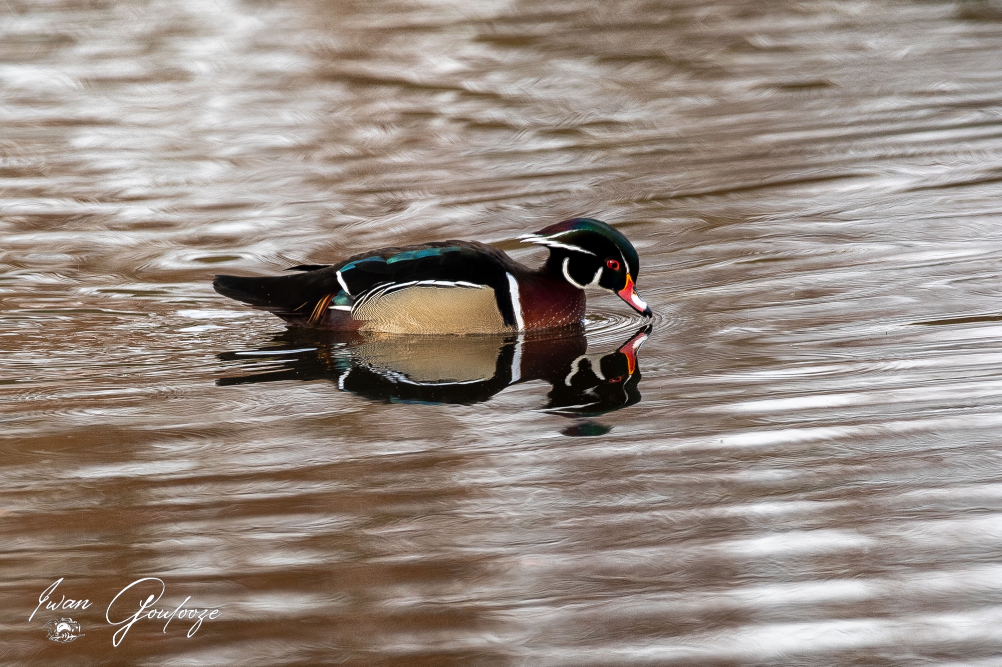  5D40545 28 november 2021 1314 41